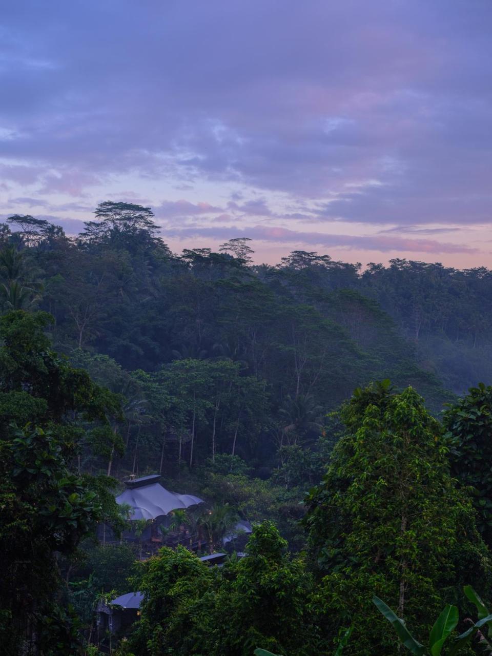 Capella Ubud, Bali Ngoại thất bức ảnh