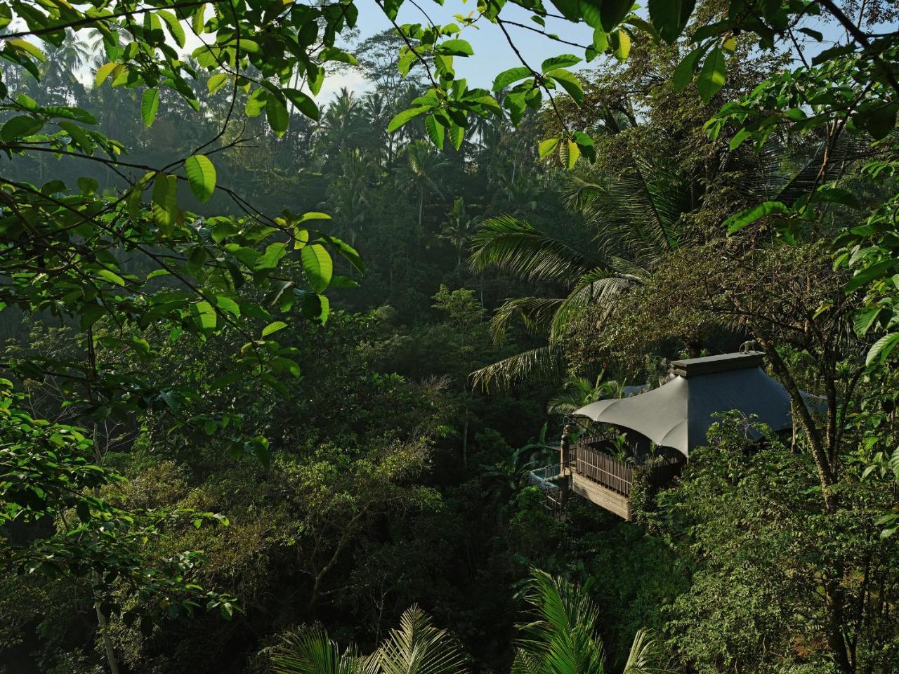 Capella Ubud, Bali Ngoại thất bức ảnh